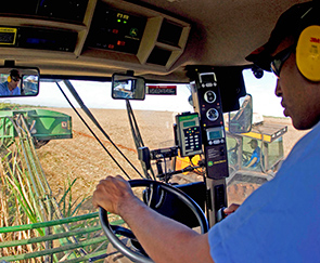 The Raízen joint venture in Brazil produces approximately 2 billion litres annually of ethanol from sugar cane - the most sustainable and cost-competitive of today's biofuels. (photo)