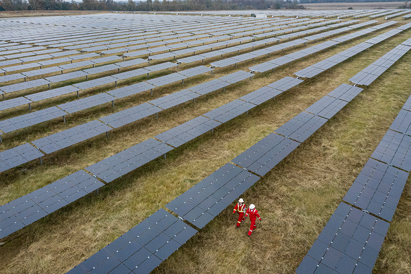Two operators walking between solar panels at Silicone Ranch solar farm (photo)