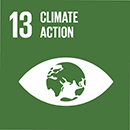Sustainable development goal 13 – Climate action (icon)
