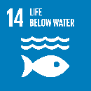 Sustainable development goal 14 – Life below water (icon)