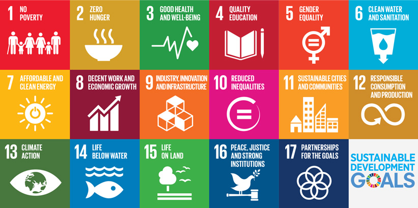 Sustainable development goals (non-js image)