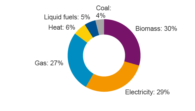Domestic and commercial energy demand (pie chart)