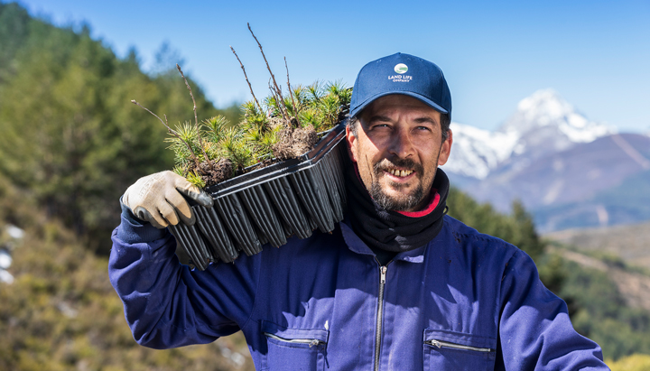 Land Life worker holding saplings ready to plant, Castilla y León regions of Spain, 2019 (photo)