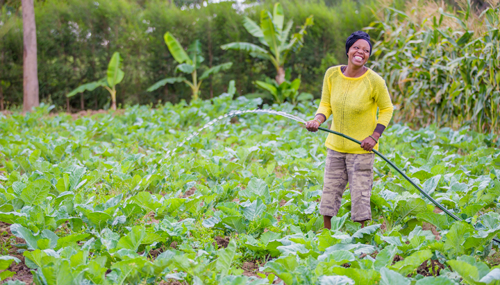 A female farmer waters her crops using water powered by Sun Culture’s solar irrigation system, Kenya 2019 (photo)