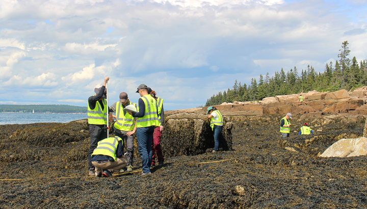 Participants of Shell’s Project Better World 2019, Earthwatch Expedition collecting data samples to help local scientists at the Schoodic Institute, Maine, USA (photo)