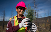 Woman planting trees for a renaturation project (photo)