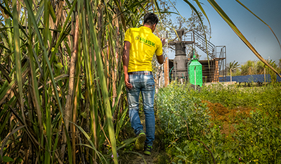 Man walking next to a corn field at a Husk solar power plant in India (photo)