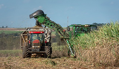 Harvesting plants to be used by Raizen to produce biofuels in Brazil (photo)