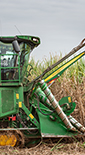 Harvesting plants to be used by Raizen to produce biofuels in Brazil (photo)