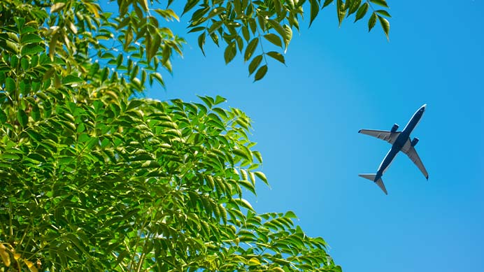 Airplane flying above the forest as seen from below (photo)