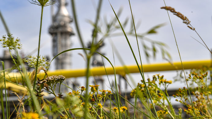 Moerdijk Asset photoshoot Netherlands, 2022 (photo)