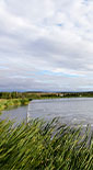 water lake with grasses around (photo)