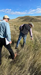 two men in a field inspecting the long grass (photo)